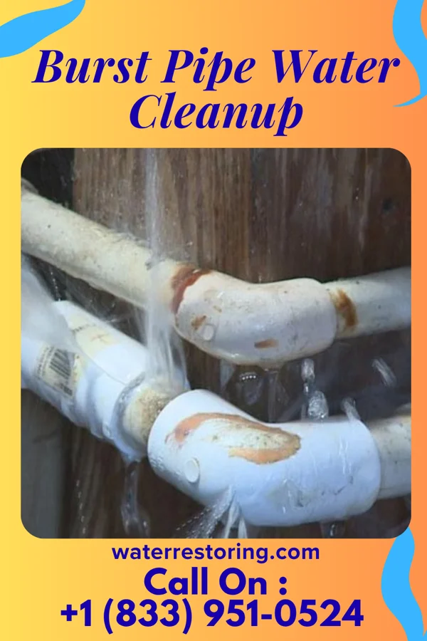 Burst Pipe Water Cleanup in Louisville, IL