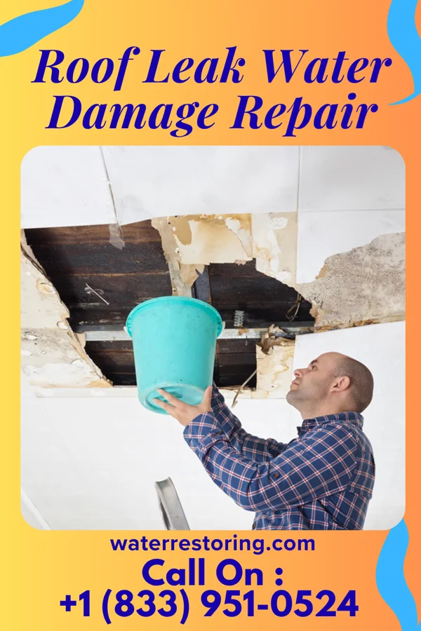 Roof Leak Water Damage Repair in Louisville, IL