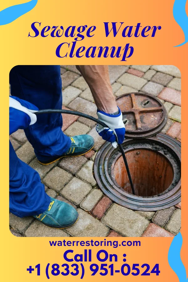 Sewage Water Cleanup in Louisville, IL